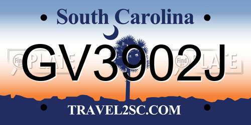 GV3902J South Carolina License Plate