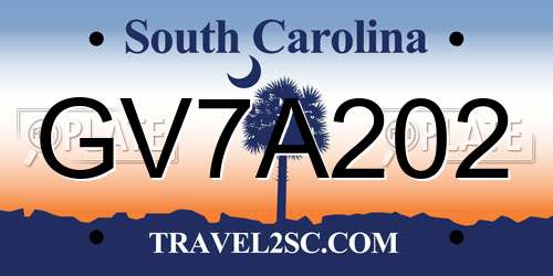 GV7A202 South Carolina License Plate