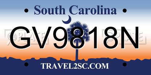 GV9818N South Carolina License Plate