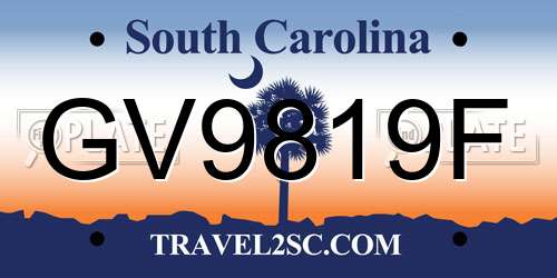 GV9819F South Carolina License Plate