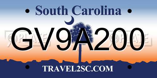 GV9A200 South Carolina License Plate