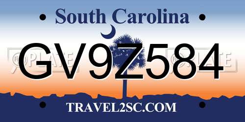 GV9Z584 South Carolina License Plate
