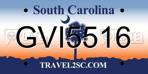 GVI5516 South Carolina License Plate