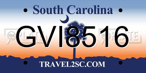 GVI8516 South Carolina License Plate