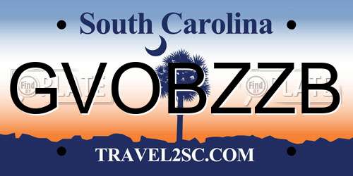 GVOBZZB South Carolina License Plate