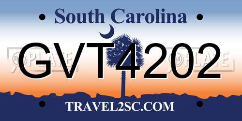 GVT4202 South Carolina License Plate