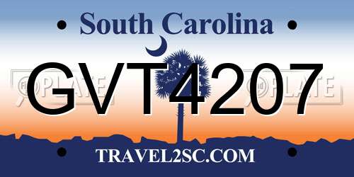 GVT4207 South Carolina License Plate