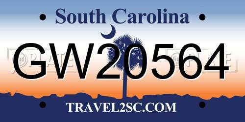 GW20564 South Carolina License Plate