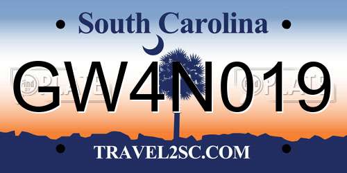 GW4N019 South Carolina License Plate