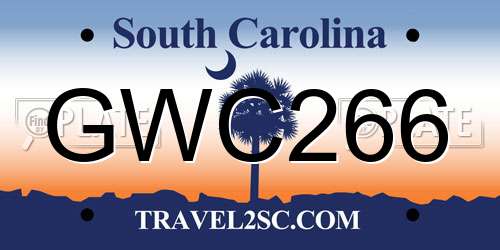 GWC266 South Carolina License Plate