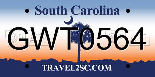 GWT0564 South Carolina License Plate