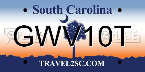 GWV10T South Carolina License Plate