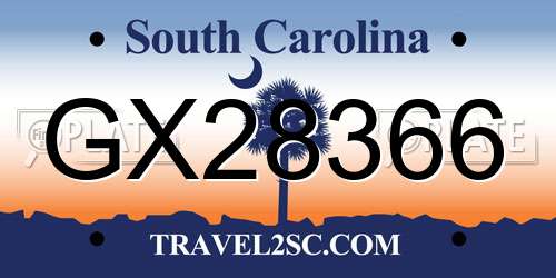 GX28366 South Carolina License Plate