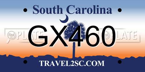 GX460 South Carolina License Plate