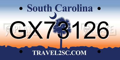 GX73126 South Carolina License Plate
