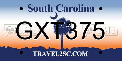 GXT375 South Carolina License Plate