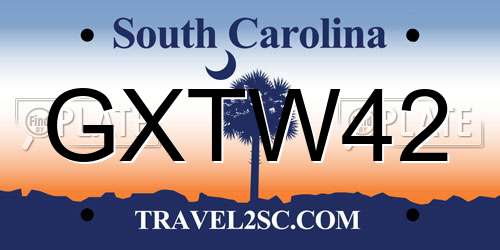 GXTW42 South Carolina License Plate
