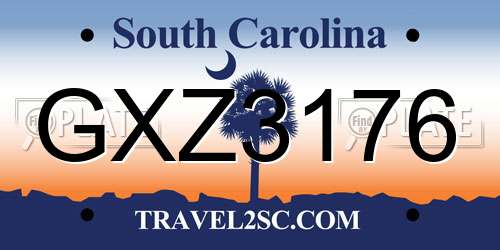 GXZ3176 South Carolina License Plate