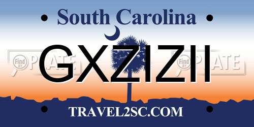 GXZIZII South Carolina License Plate