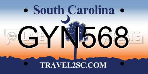 GYN568 South Carolina License Plate