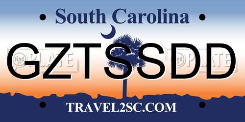 GZTSSDD South Carolina License Plate