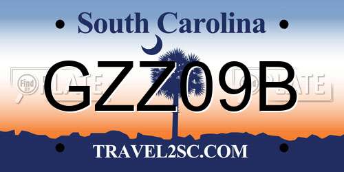 GZZ09B South Carolina License Plate