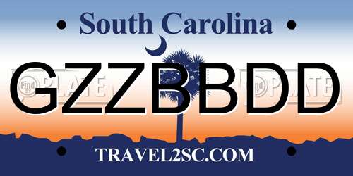 GZZBBDD South Carolina License Plate
