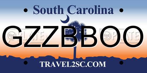 GZZBBOO South Carolina License Plate