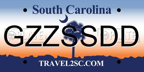GZZSSDD South Carolina License Plate