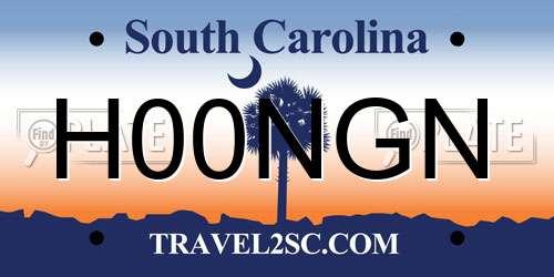 H00NGN South Carolina License Plate