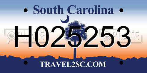 H025253 South Carolina License Plate