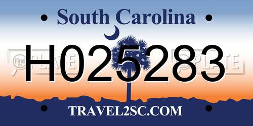 H025283 South Carolina License Plate