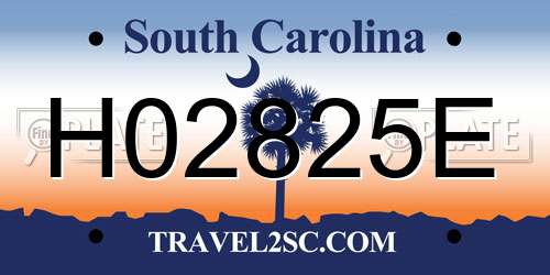 H02825E South Carolina License Plate
