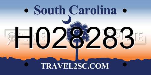 H028283 South Carolina License Plate