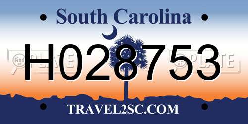 H028753 South Carolina License Plate