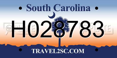 H028783 South Carolina License Plate