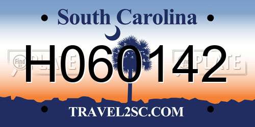 H060142 South Carolina License Plate