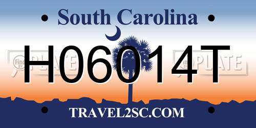 H06014T South Carolina License Plate