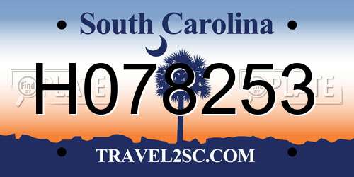 H078253 South Carolina License Plate