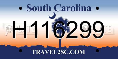 H116299 South Carolina License Plate