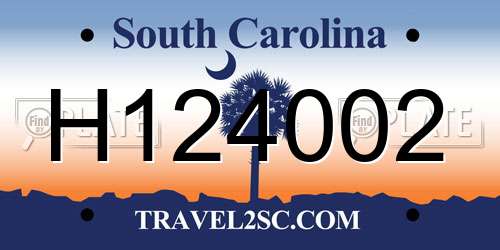 H124002 South Carolina License Plate