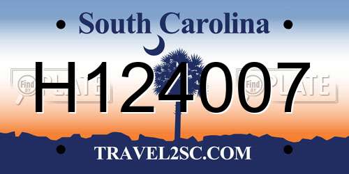 H124007 South Carolina License Plate