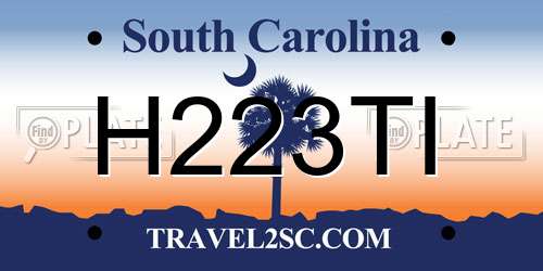 H223TI South Carolina License Plate