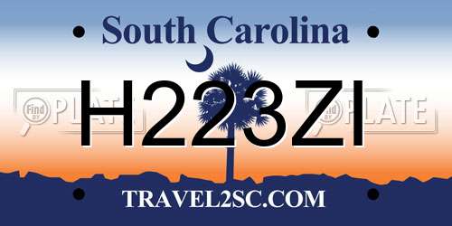 H223ZI South Carolina License Plate