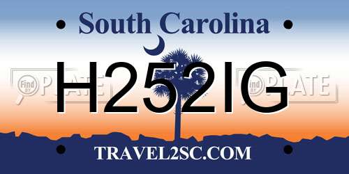 H252IG South Carolina License Plate