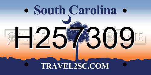 H257309 South Carolina License Plate