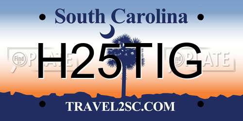 H25TIG South Carolina License Plate