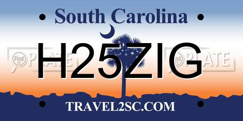 H25ZIG South Carolina License Plate