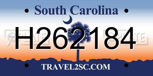 H262184 South Carolina License Plate