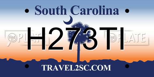 H273TI South Carolina License Plate